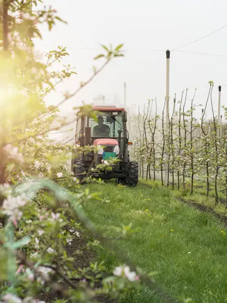 Best Agriculture Market