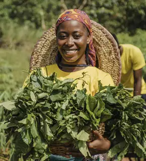 Best Agriculture Market
